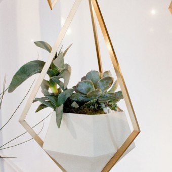 14 DIY Hanging Planter Ideas for the Bungalow