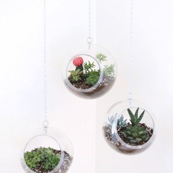14 DIY Hanging Planter Ideas for the Bungalow