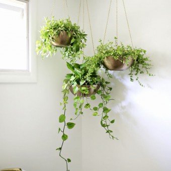 14 DIY Hanging Planter Ideas for the Bungalow