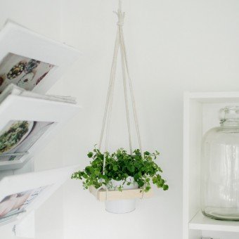 14 DIY Hanging Planter Ideas for the Bungalow
