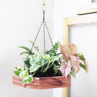 14 DIY Hanging Planter Ideas for the Bungalow