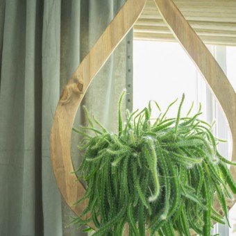 14 DIY Hanging Planter Ideas for the Bungalow