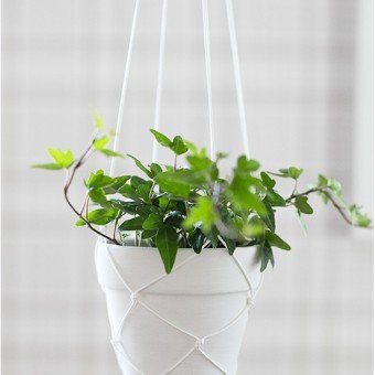14 DIY Hanging Planter Ideas for the Bungalow